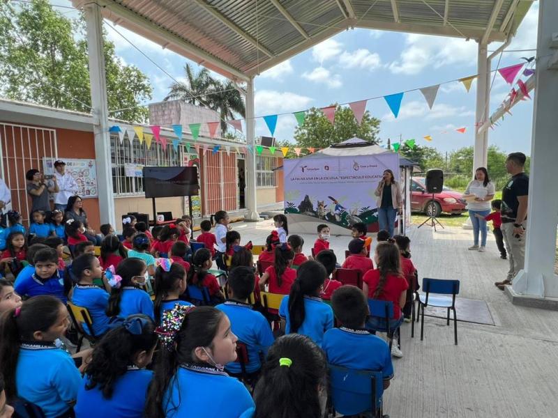 clases en línea