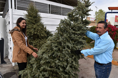 árbol de Navidad