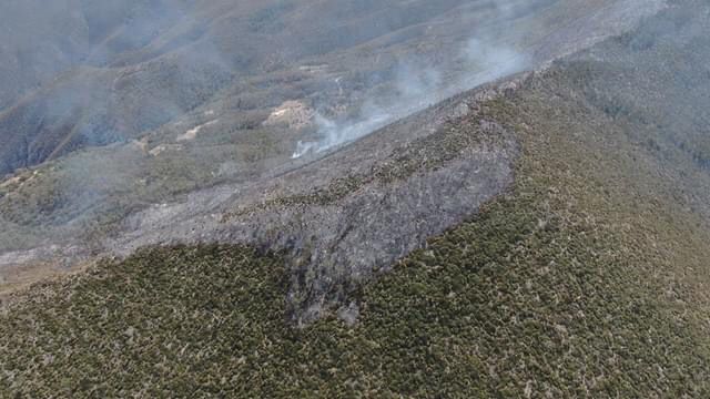 Incendios forestales