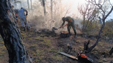 Aplica Sedena Plan DN-III-E por incendio en Miquihuana