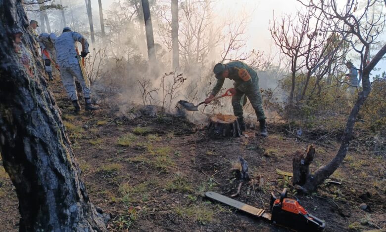 Aplica Sedena Plan DN-III-E por incendio en Miquihuana