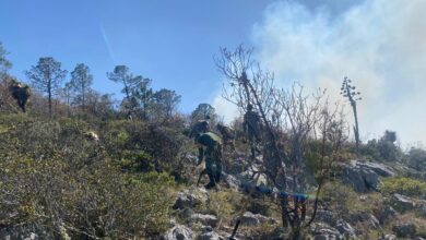 El Ejército Mexicano apoyo en los trabajos para controlar el incendio qe se registra en sierra de Miquihuana.
