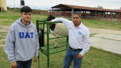 Un estudiante de la Universidad Autónoma de Tamaulipas (UAT) desarrolla un innovador sistema de monitoreo electrónico para la ingesta de alimentos en borregos.