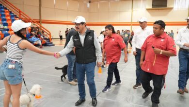 adiestramiento canino