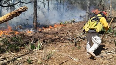 Protección Civil alerta por rachas de vientos que pueden alentar incendios