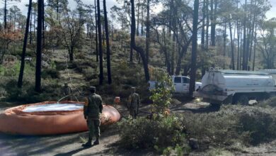 Aunque los incendios fueron liquidados, piden autoridades extremar precauciones por altas temperaturas.
