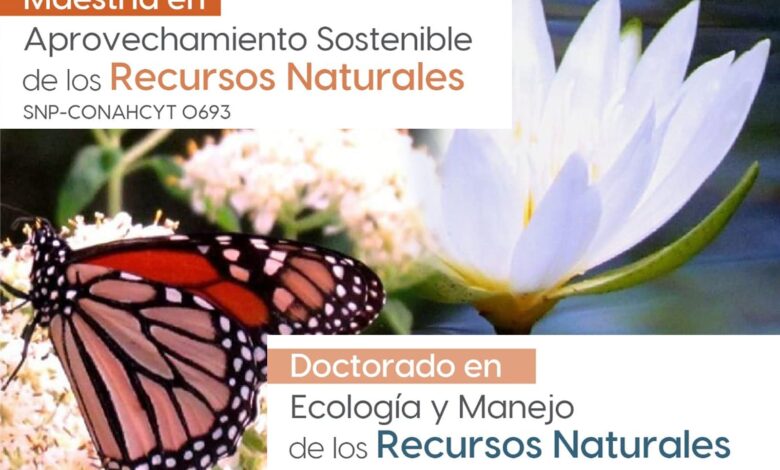 La UAT ofrece posgrados cuyo propósito es formar expertos en el cuidado del medioambiente, así como en el aprovechamiento sostenible de los recursos naturales.