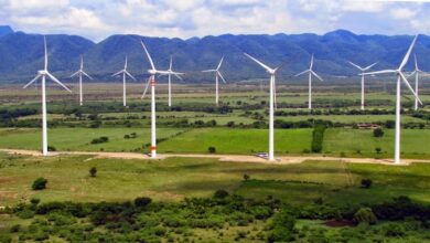 La secretaría de Desarrollo Energético revisa los contratos de empresas eólicas