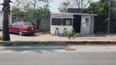 La ingesta de alimentos en mal estado o por el consumo de agua de fuentes no formales.