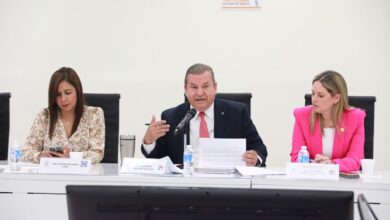 Edgar Melhem plagio de iniciativa