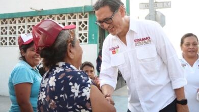 Erasmo foros