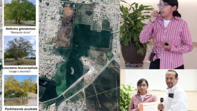Estudiante de la UAT trabaja en proyecto para el saneamiento de suelo contaminado en la laguna La Escondida en Reynosa.