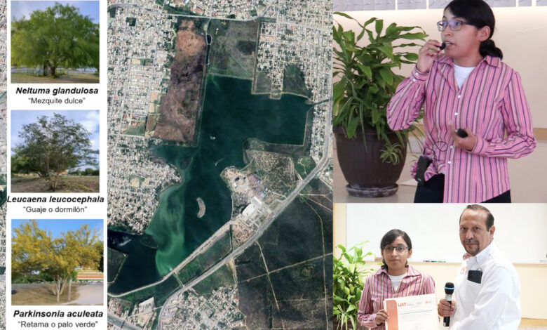 Estudiante de la UAT trabaja en proyecto para el saneamiento de suelo contaminado en la laguna La Escondida en Reynosa.