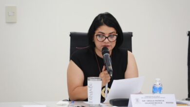 auditorías Ursula
