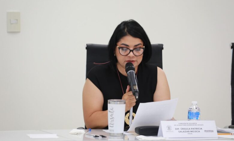 auditorías Ursula