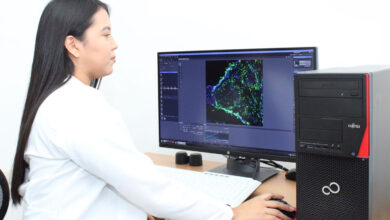 Cindy Judith Cruz Camacho, egresada de la UAT.