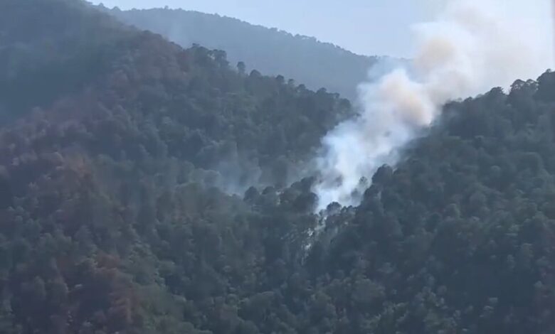 incendio en la sierra de Victoria.