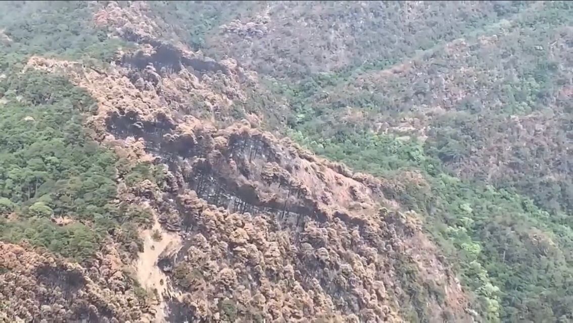 Tiene un 55 por ciento de control y 45 por ciento de liquidación el incendio en la sierra de Victoria.