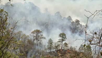 incendio en la sierra de Victoria