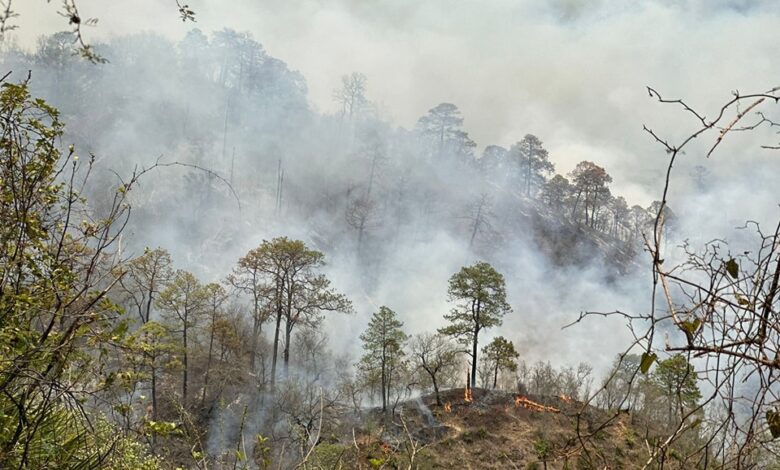 incendio en la sierra de Victoria