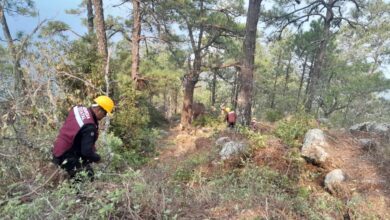 El 35 por ciento de control y 25 por ciento de liquidación se tiene del incendio en el Cañón del Novillo.