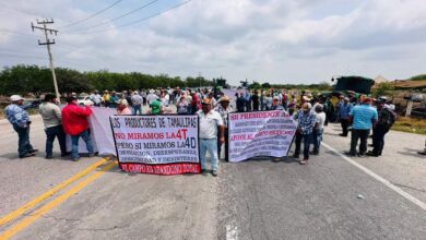 Productores de San Fernando exigen precio justo para el sorgo.