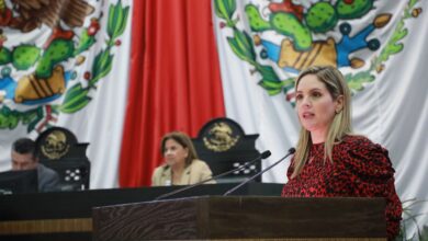 Alejandra Cárdenas Castillejos, diputada Local.