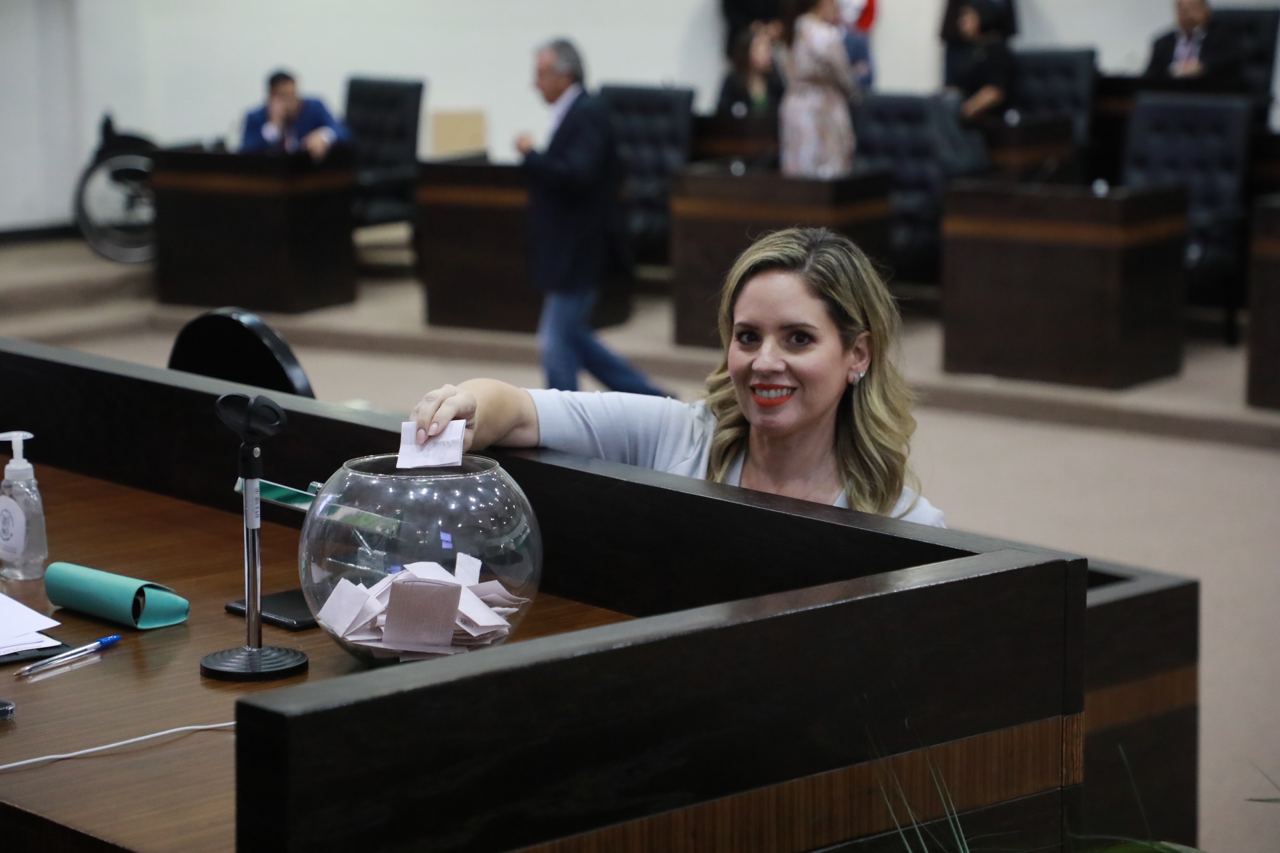 Alejandra Cárdenas Castillejos, diputada del PRI.