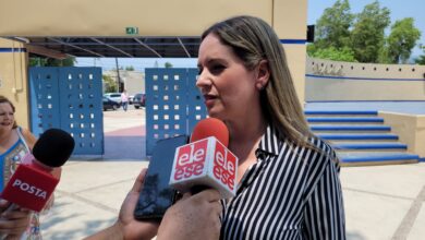 Alejandra Cárdenas Castillejos.