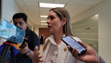 Alejandra Cárdenas Castillejos, diputada Local del PRI.