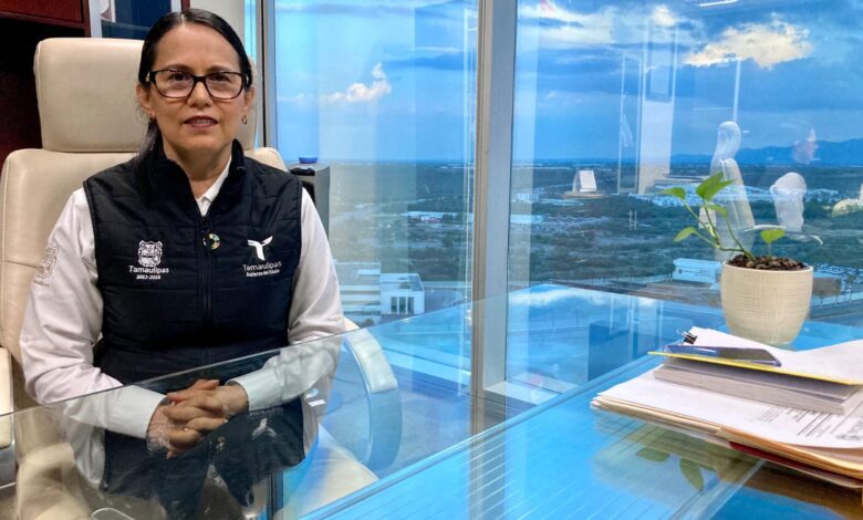 Norma Angélica Pedraza Melo, Contralora Gubernamental.