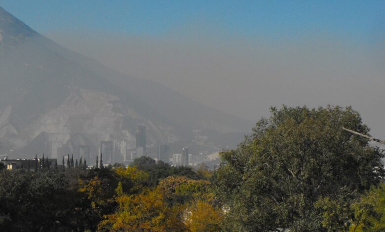 Un grupo de investigadores de la Universidad Autónoma de Tamaulipas (UAT) ha presentado resultados innovadores en un estudio sobre cambios de vegetación a lo largo de un gradiente de urbanización y contaminación atmosférica en México.