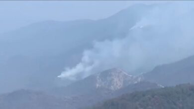 Incendio en el Cañón del Novillo.