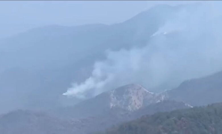 Incendio en el Cañón del Novillo.