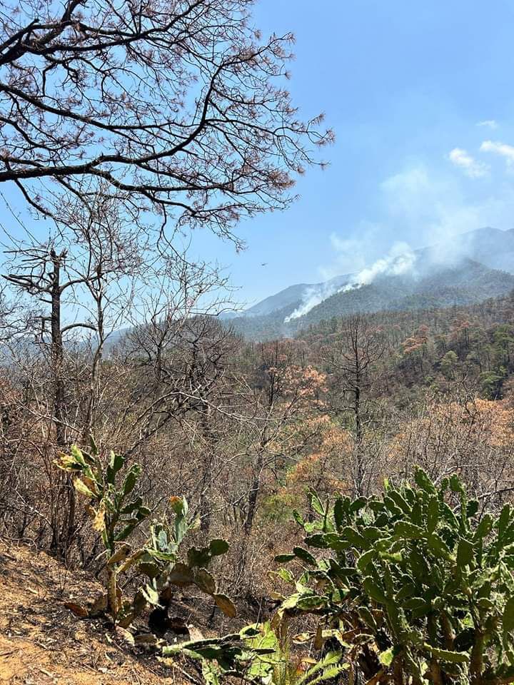 El incendio afectó 3,500 hectáreas en la sierra de Victoria.