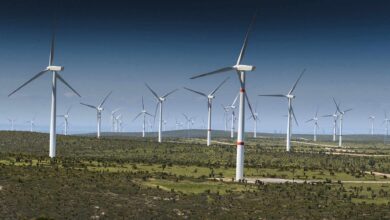 Tamaulipas se posicionó como el estado líder energético con mayor desarrollo y producción en el ámbito de la energía.
