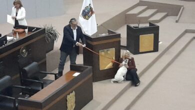 El diputado Gustavo Cárdenas presentó una iniciativa en favor de Perrucha y Ardillita.