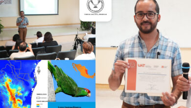 La Universidad Autónoma de Tamaulipas (UAT) desarrolla un proyecto para contribuir en las estrategias de conservación del loro tamaulipeco.