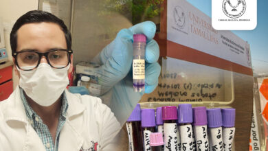 La UAT trabajan en la identificación de una especie del parásito microscópico del género Babesia, que causa babesiosis en perros.