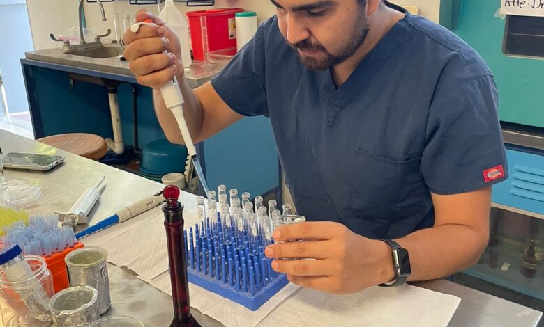 La Universidad Autónoma de Tamaulipas (UAT) experimenta el uso de un insecticida elaborado a base de plantas, para combatir la enfermedad conocida como “varroasis”.