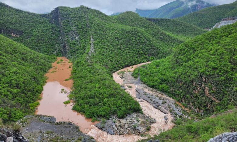 cañón del novillo