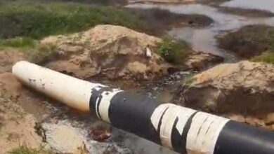 La Procuraduría Ambiental y Urbana de Tamaulipas (PAUT), presentará denuncias ante las Fiscalía General de la República y la Fiscalía de Tamaulipas.
