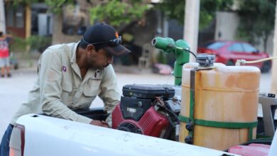 La Secretaría de Salud, invierte más de 55 millones de pesos para combatir el dengue.