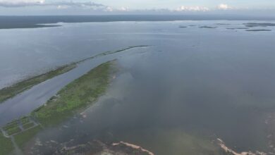 La Presa Vicente Guerrero llegaría al cien por ciento de su capacidad de almacenamiento si se presentan más tormentas.