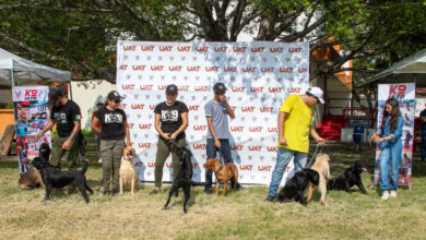 La Universidad Autónoma de Tamaulipas pone en marcha la convocatoria “Familia UAT. Adopta un héroe canino”, para quienes deseen adoptar a siete perros que sirvieron en diferentes corporaciones de rescate y seguridad.