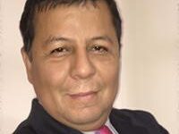 José Inés Figueroa, Los Hechos