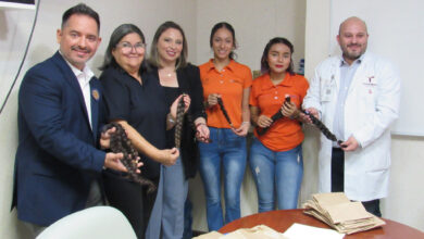 La campaña altruista “Para una princesa”, tiene la finalidad de recolectar trenzas de cabello para elaborar pelucas oncológicas.