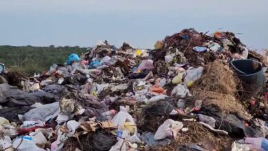 Más de 2 mil botaderos clandestinos se han detectado en Tamaulipas.