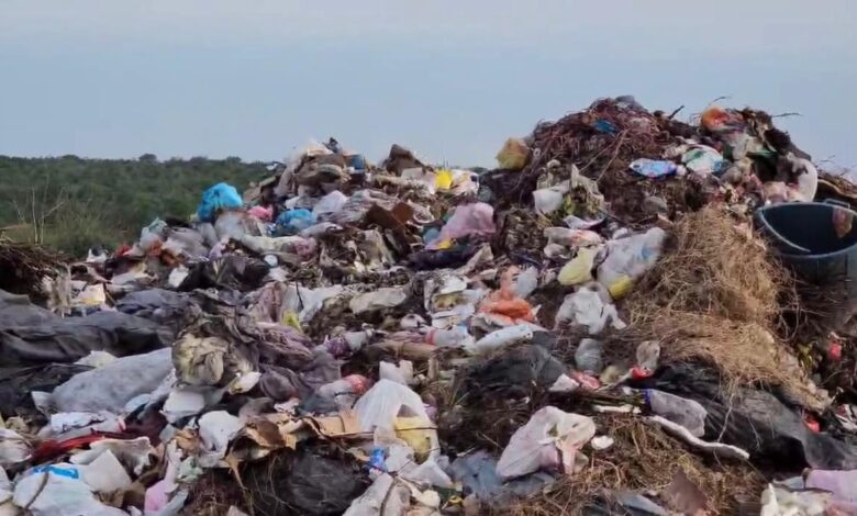 Más de 2 mil botaderos clandestinos se han detectado en Tamaulipas.