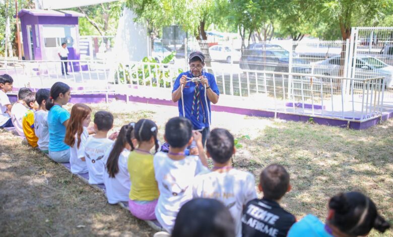 El Campamento de Verano 2024 llegó a su fin con éxito, luego de una semana de actividades en el CEDIF Clarita Nava de Ulibarri del DIF Tamaulipas.